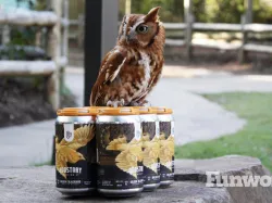 chattanooga zoo oddstory brewing