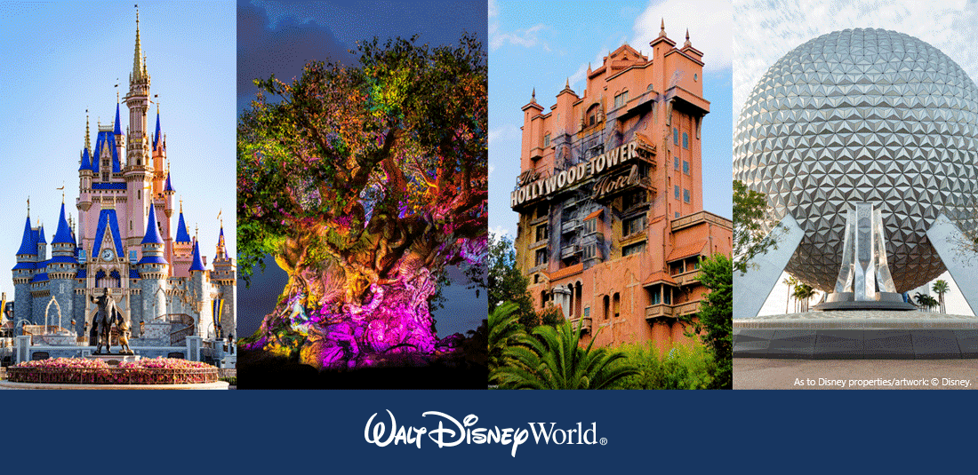 Walt Disney World Meeting Convention Ticket