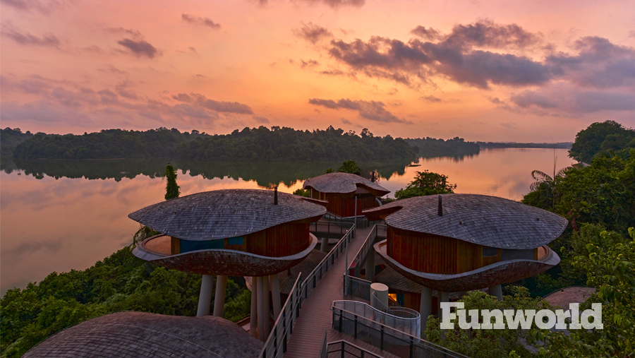 rainforest wild asia lodging