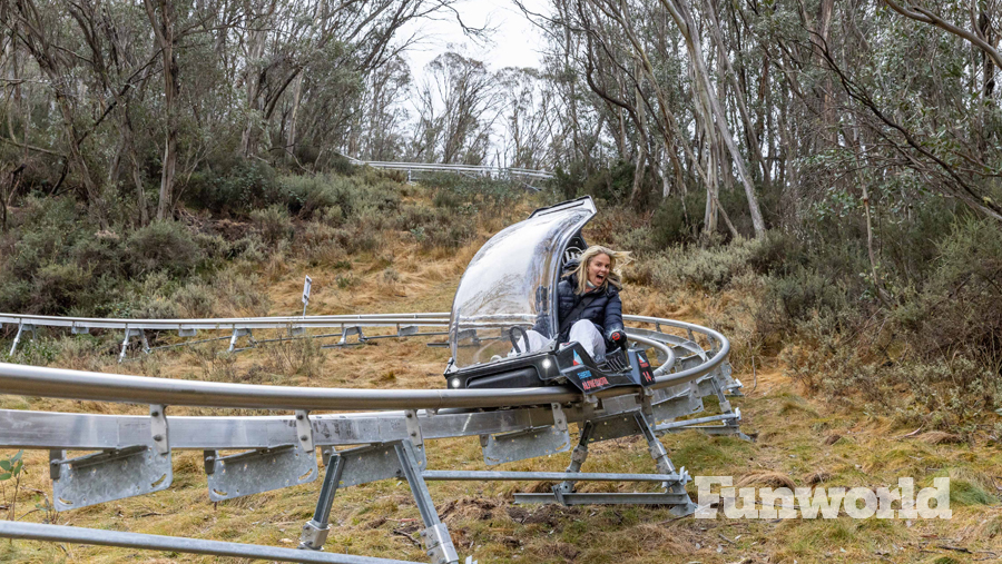 thedbo alpine resort mountain coaster
