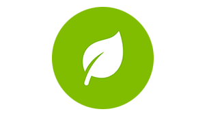 Green Leaf Icon