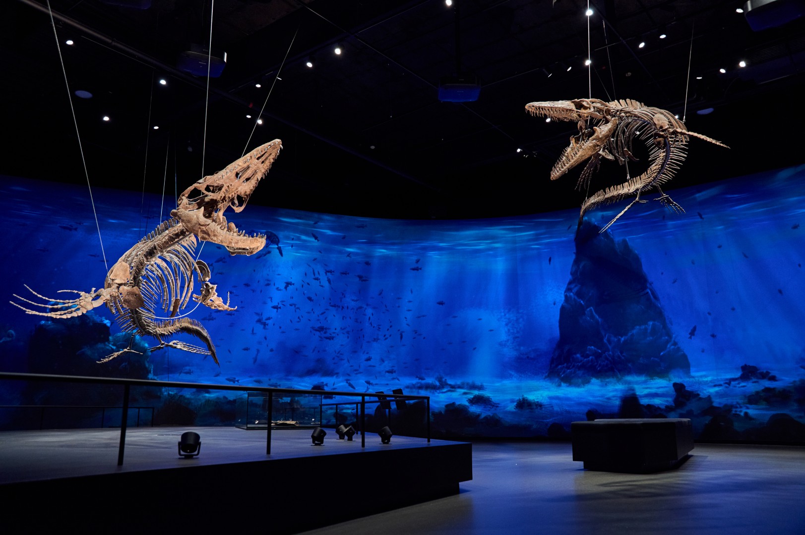 Dinosauria Museum Prague 2