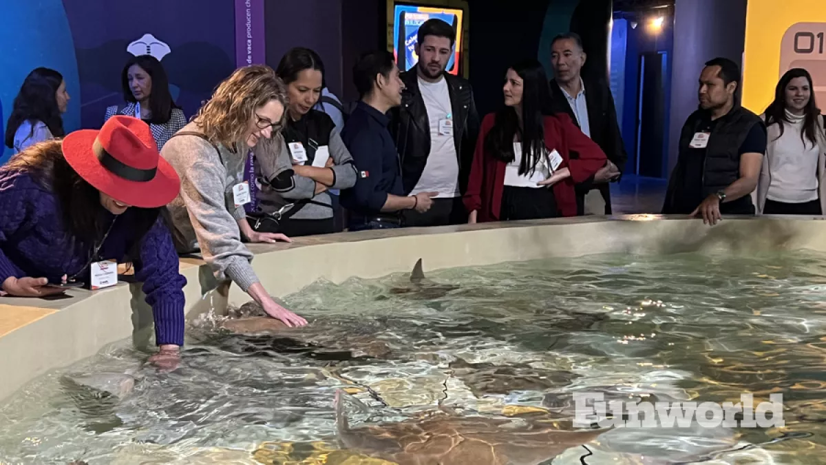 acuario michin interactive stingray pool