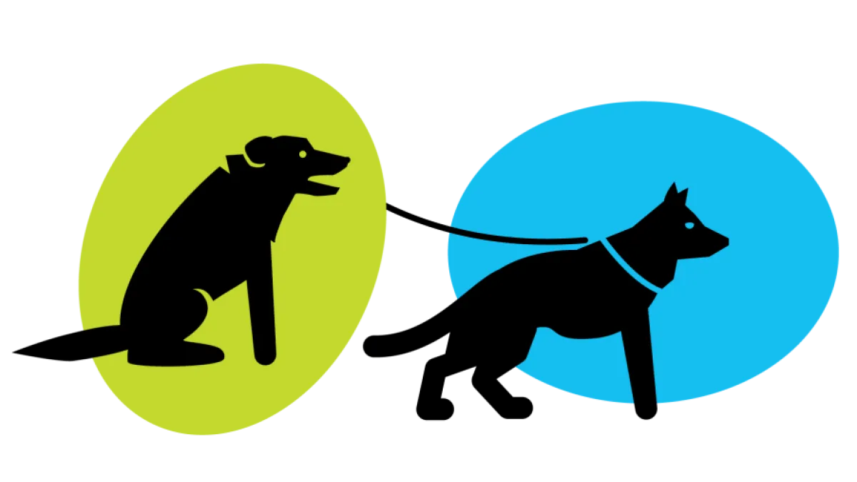 Dogs Safety Graphic