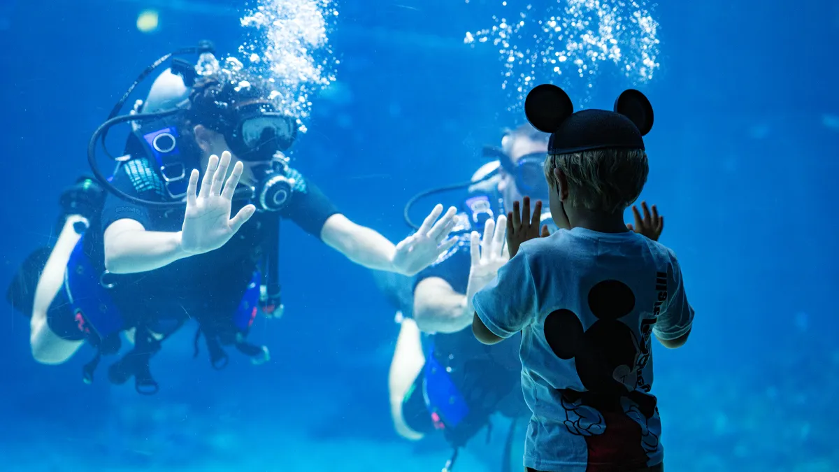 Two underwater Disney divers interact with a young guest