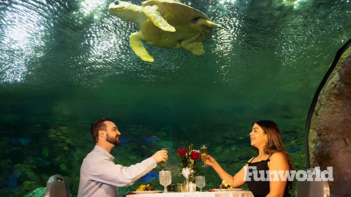 valentines day at seaworld san diego