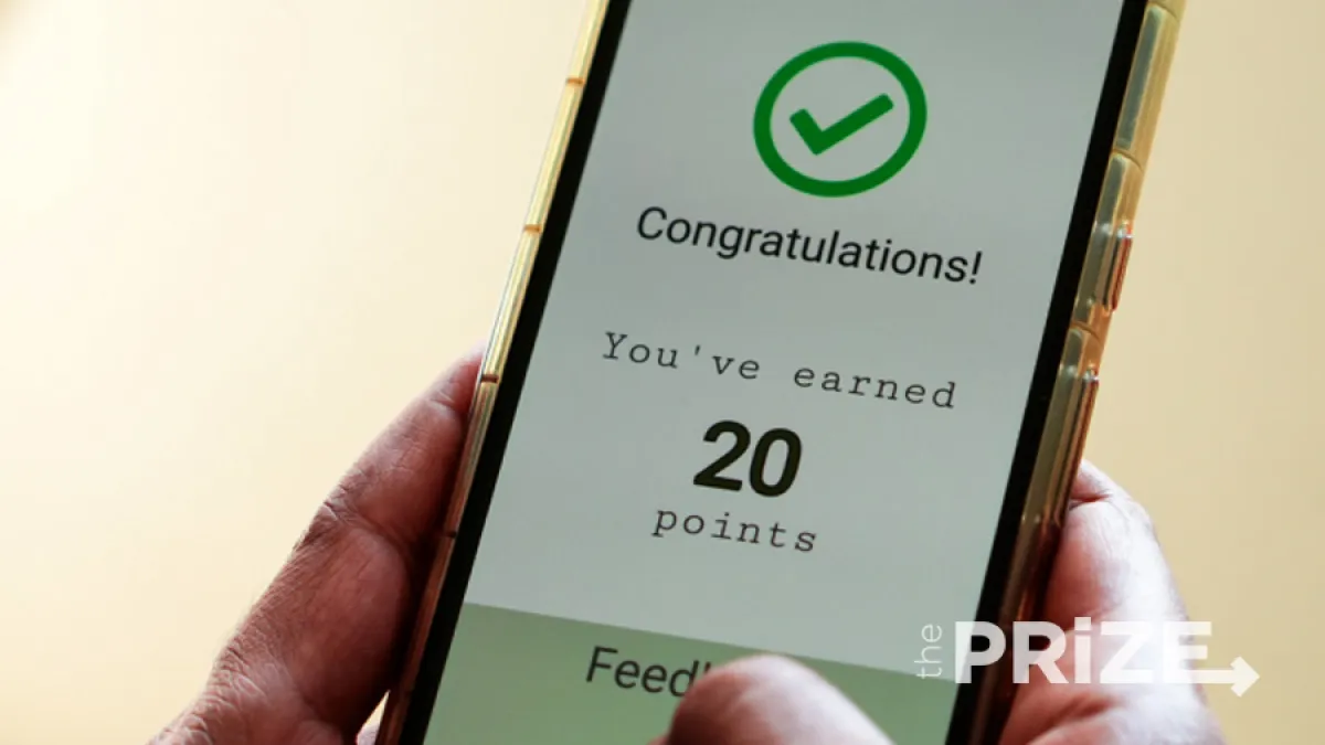 Rewards programs