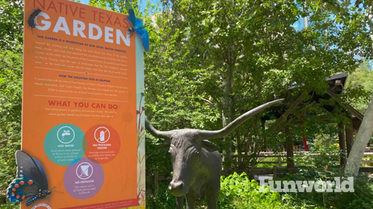 Pollinator Garden
