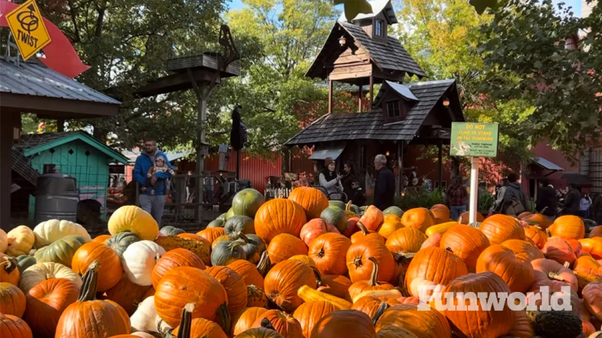 bengtson's pumpkin farm