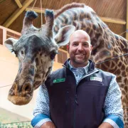 Giraffe and animal keeper