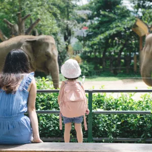 Mom and Daughter Zoo