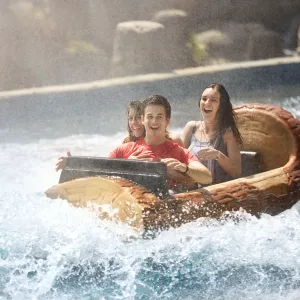 Family riding a flume ride