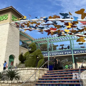 entrance gate of san antonio zoo