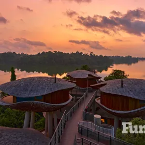 rainforest wild asia lodging