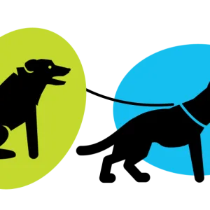 Dogs Safety Graphic