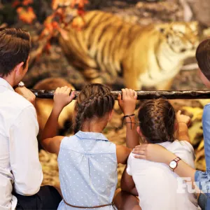 chaperones at a zoo attraction