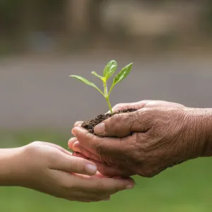 sustainability