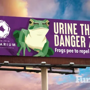 virginia aquarium frog billboard
