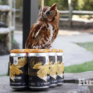 chattanooga zoo oddstory brewing