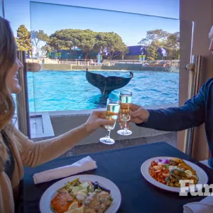 valentines day at seaworld san diego table
