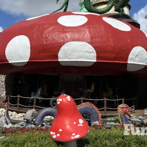 gktw 40th anniversary carousel