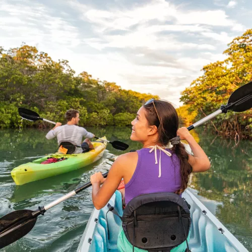 Couple Kayaking in Mangrove river in Florida, USA