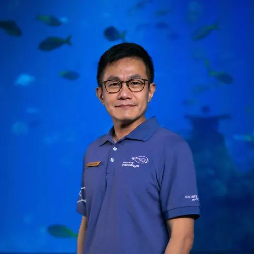 Hsiao Feng Ng