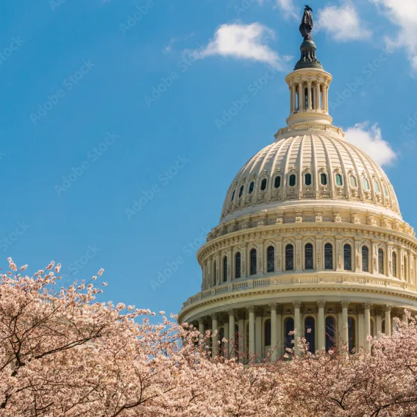 U.S. Capitol Building