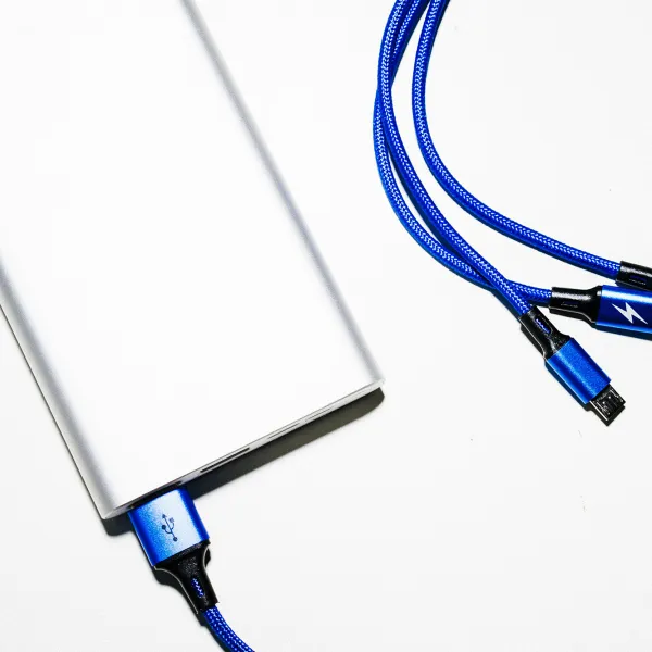 Battery Charger