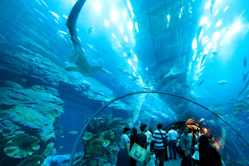 Walking under an Aquarium
