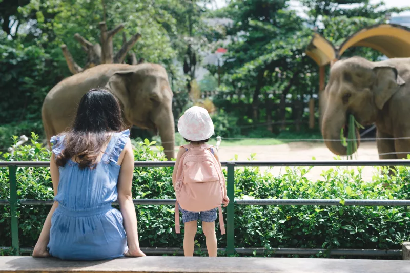 Mom & Child looking at Elephant