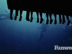 seaworld orlando expedition odyssey under water