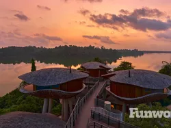 rainforest wild asia lodging