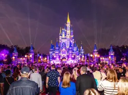 magic kingdom disney service celebration