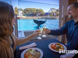 valentines day at seaworld san diego table