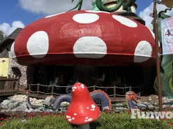 gktw 40th anniversary carousel