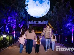 knoxville zoo smoky night lights