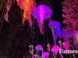 Jellyfish Aquatica