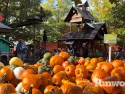 bengtson's pumpkin farm