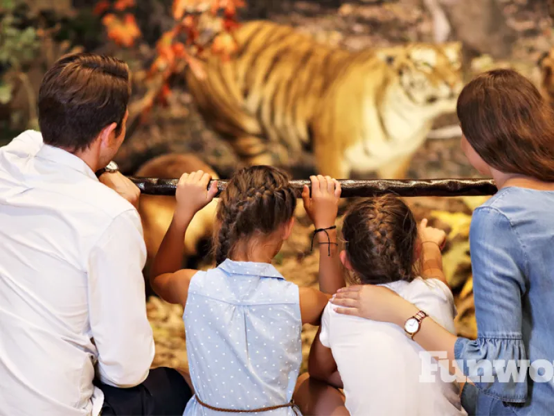 chaperones at a zoo attraction
