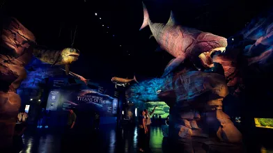 Singapore Oceanarium - Ancient Waters