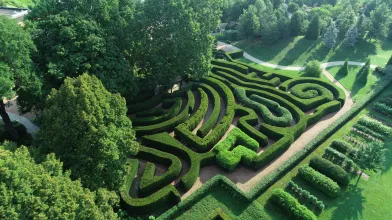 Morton Arboretum Maze