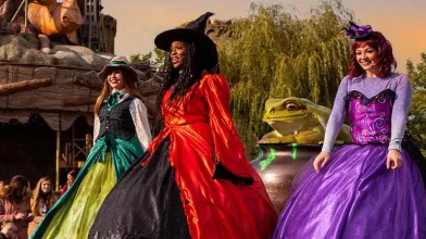 Wild Witches of Adventure Point