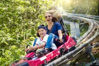 Woman and child riding downhill together on an alpine slide