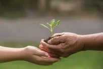 sustainability