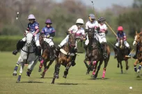 Polo Experience