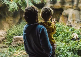 Dad and son looking at panda