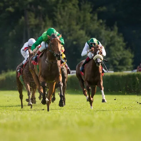 Kentucky Derby