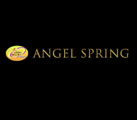 Beijing Angel Yong Yi Technology Co., Ltd.