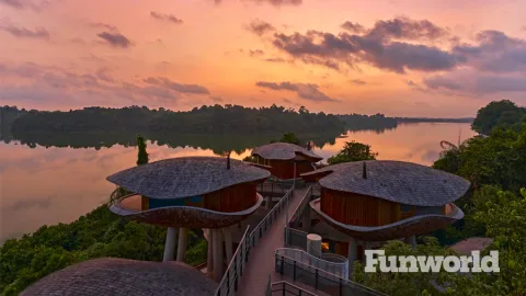 rainforest wild asia lodging